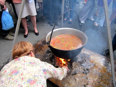 Native American Chefs Explore American Roots of Ukrainian Cuisine at the Honchar museum, May 23, 2013 (8878238836)