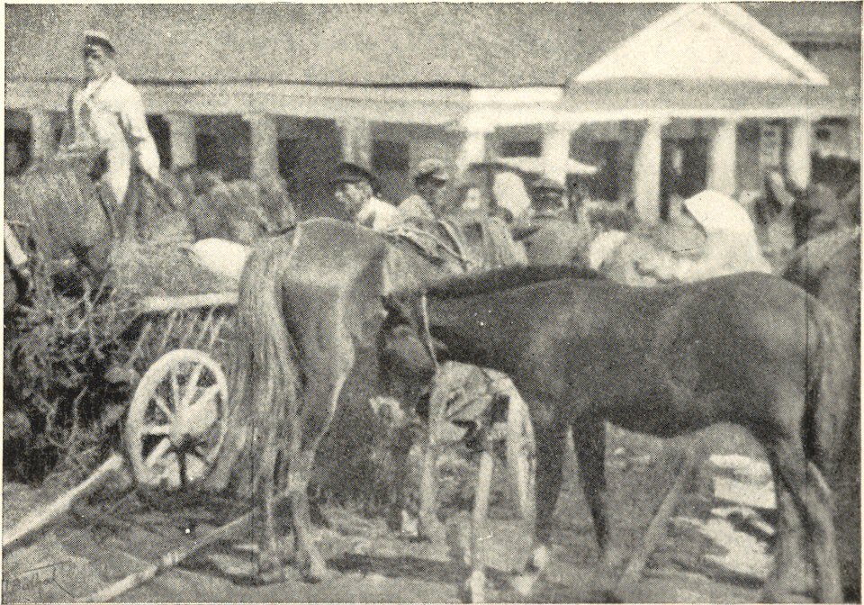 Navahradak, Rynak, Kramy. Наваградак, Рынак, Крамы (J. Bułhak, 1915)