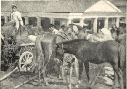 Navahradak, Rynak, Kramy. Наваградак, Рынак, Крамы (J. Bułhak, 1915)