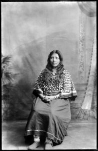 Native Americans from Southeastern Idaho - NARA - 519219