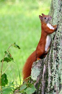Park nature cute