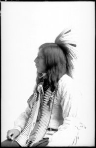 Native Americans from Southeastern Idaho - NARA - 519289