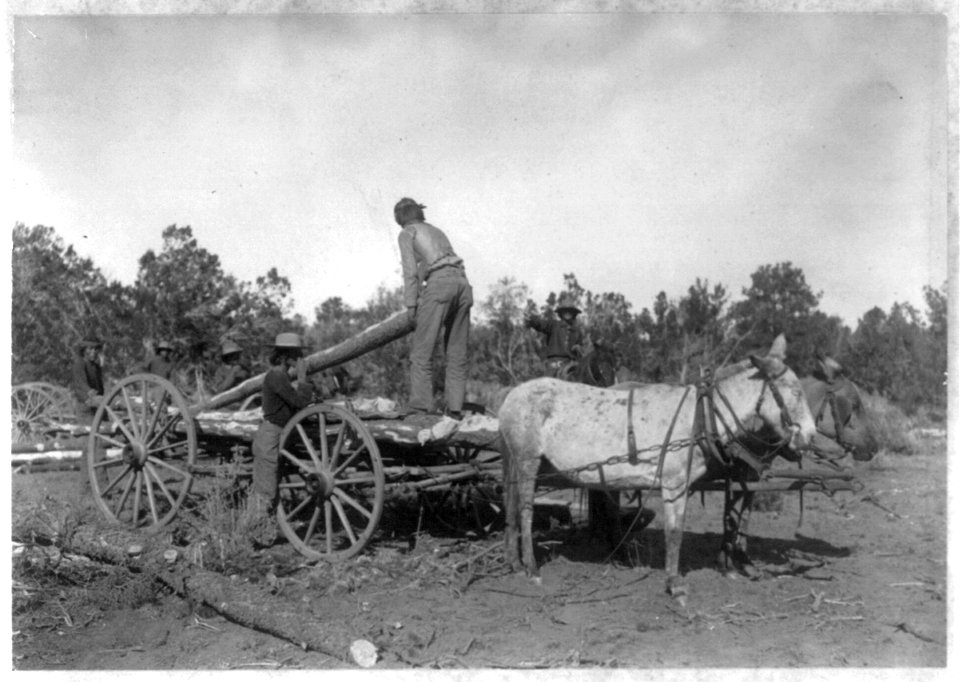 Navajo Indian ceremony of 9-day chant, Arizona LCCN2002709496