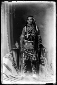 Native Americans from Southeastern Idaho - NARA - 519322