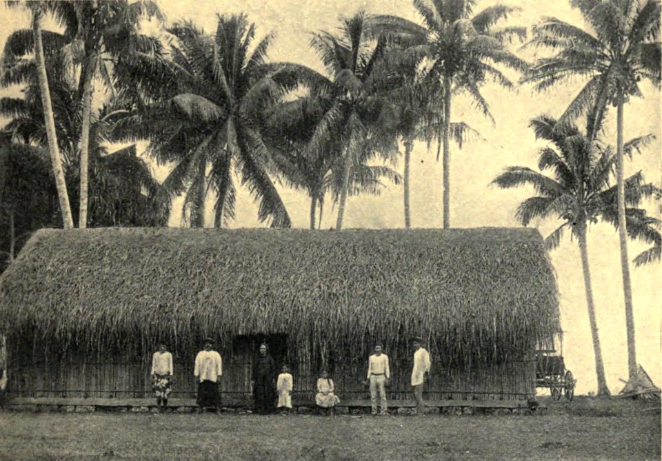 Native House in Papara, by Coulon