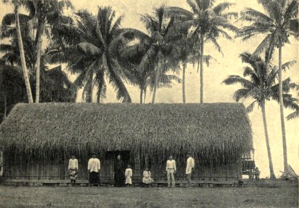 Native House in Papara, by Coulon