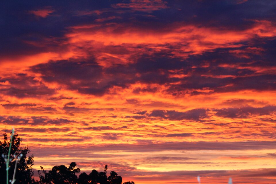 Skies morning sun morning