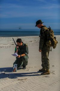 NATO forces work together in joint personnel recovery exercise during BALTOPS (42662004032)