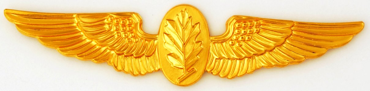 Naval Aviation Psychologist insignia
