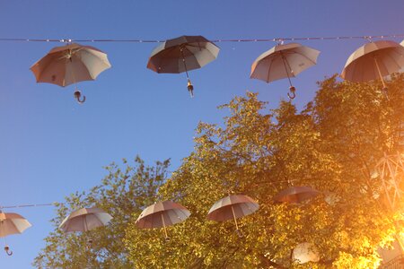 Plant nature umbrella