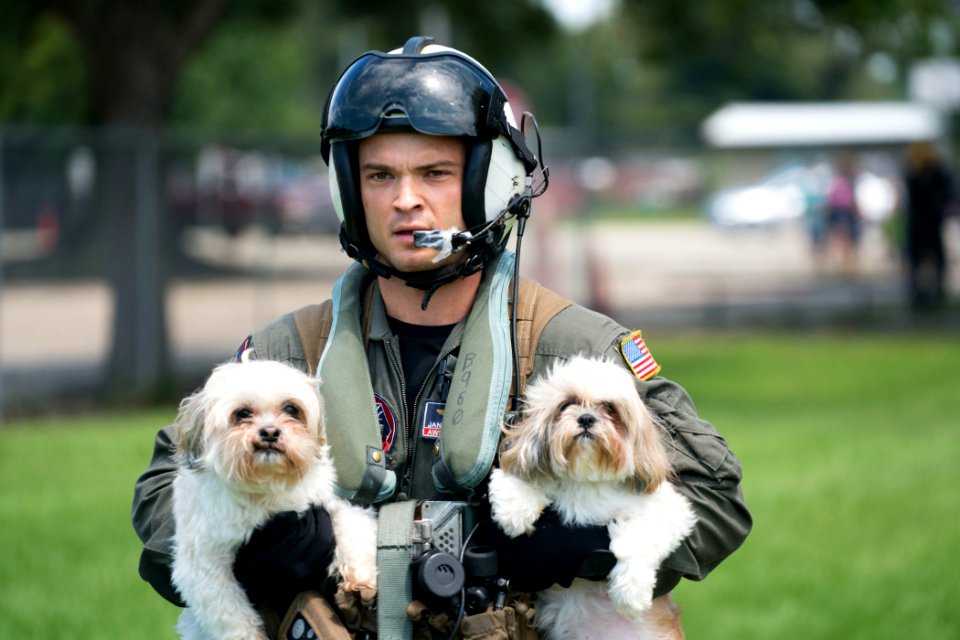 Naval Aircrewman (Helicopter) 2nd Class Jansen Schamp rescues two dogs after flood waters from Hurricane Harvey reached the grounds of a shelter. (36824232411)