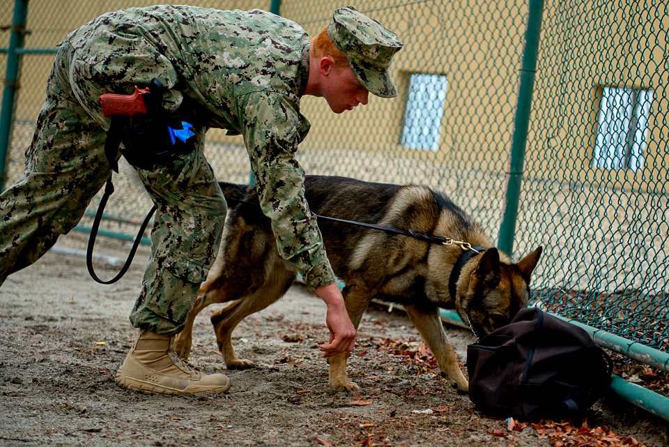 Naval Support Activity integrated training exercise 130501-N-GG400-020