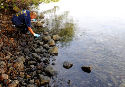 Nature Trail Clean Up DVIDS286444