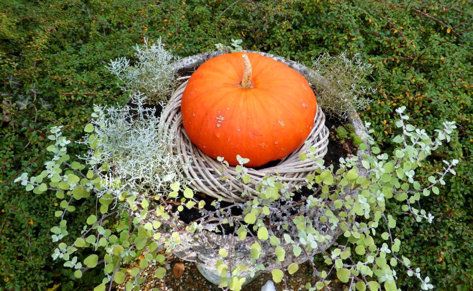 Decoration orange atmosphere