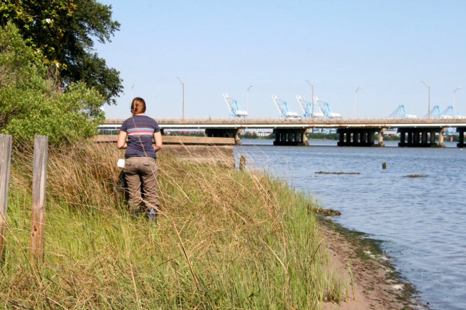 NAVFAC Cleans Up (34338789344)
