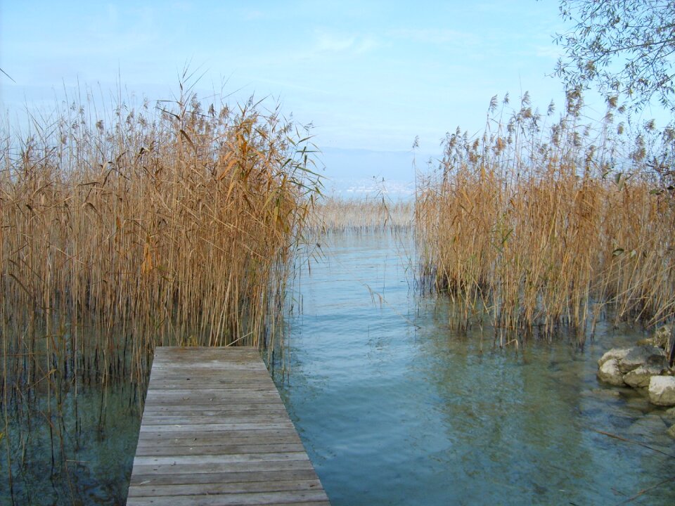 Web lakeside winter mood