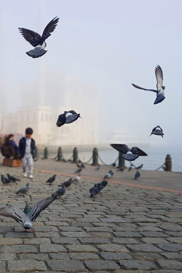 Ortakoy bosphorus street
