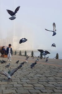 Ortakoy bosphorus street