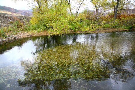 Autumn foliage landscape photo