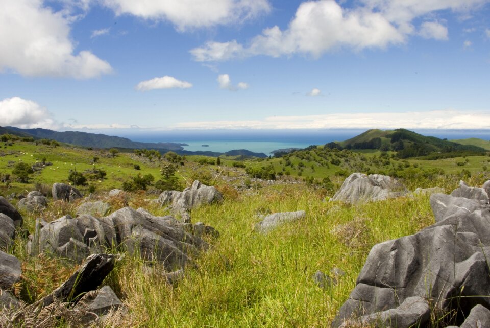 View landscape nature