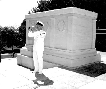 Navy Bugle-3 (7269983668)