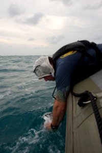 Navy Divers support AirAsia Flight QZ8501 search efforts 150104-N-DC018-195