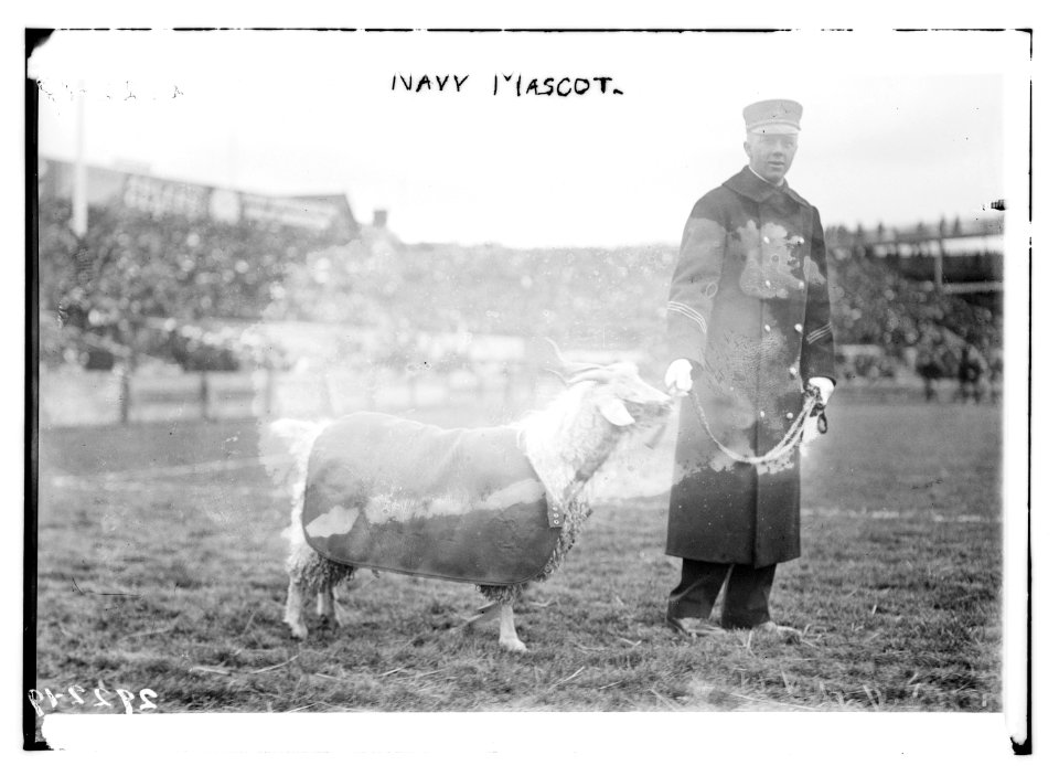 Navy mascot LCCN2014694915