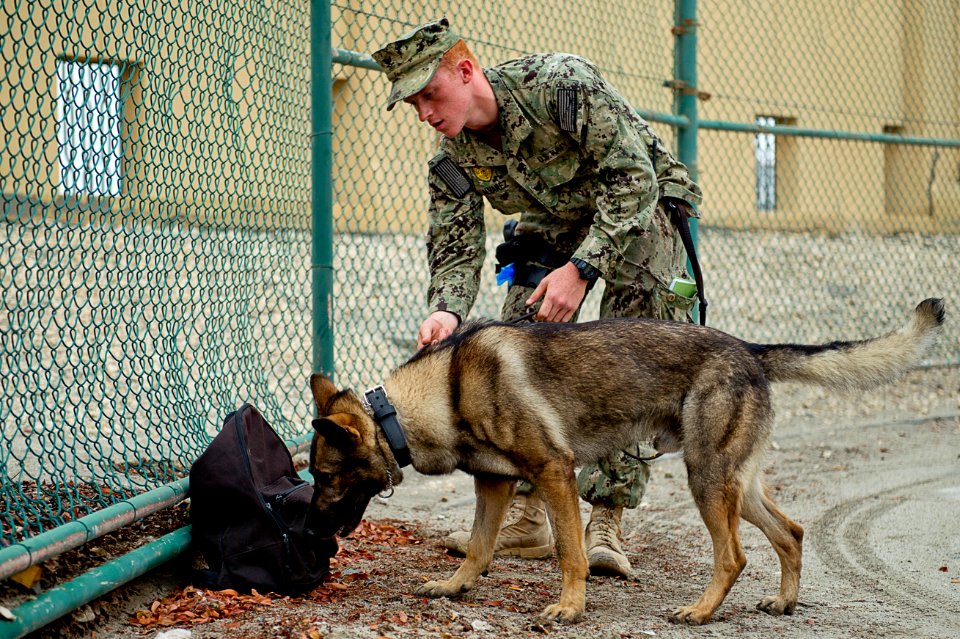 Naval Support Activity integrated training exercise 130501-N-GG400-009