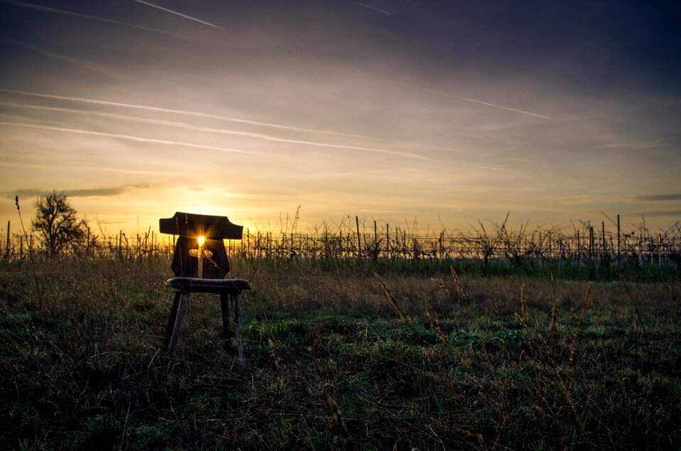 Sunrise grass nature