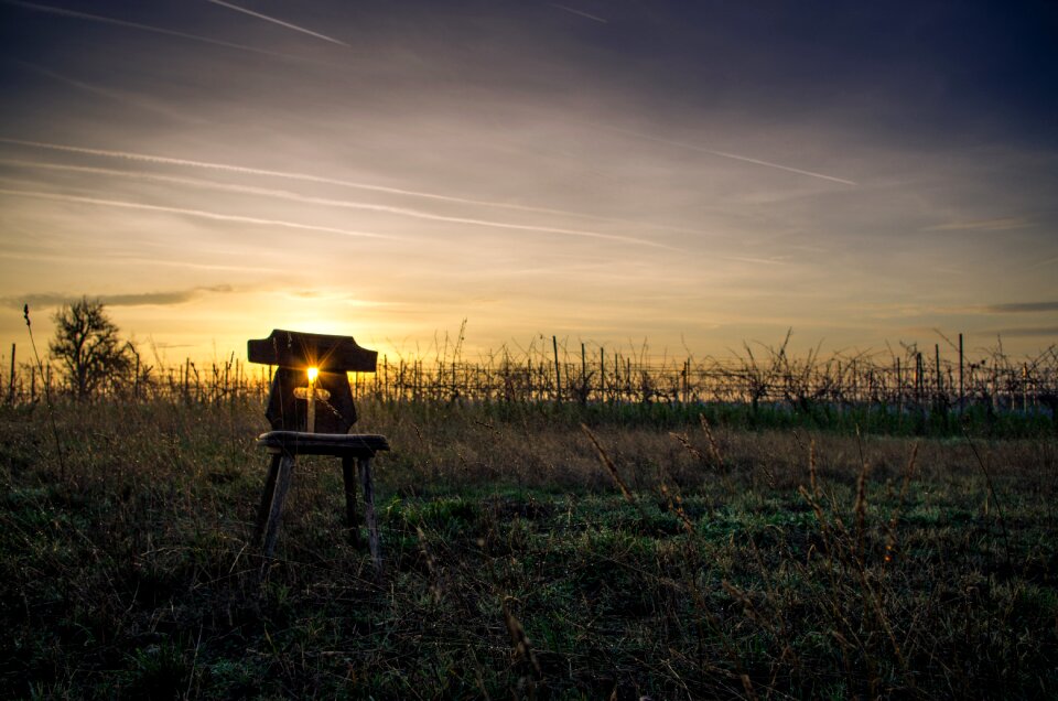 Sunrise grass nature photo