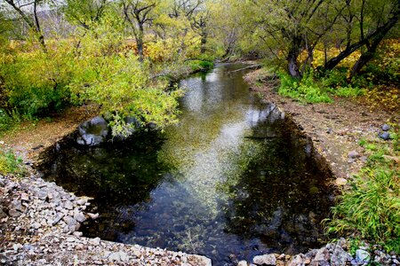 Autumn foliage landscape