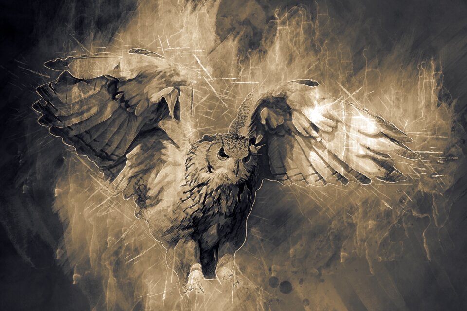 Fly wing hunting bird