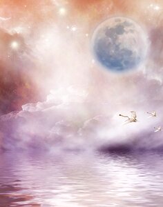 Sky moon swans photo