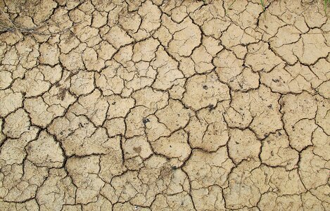 Drought dry soil cracks