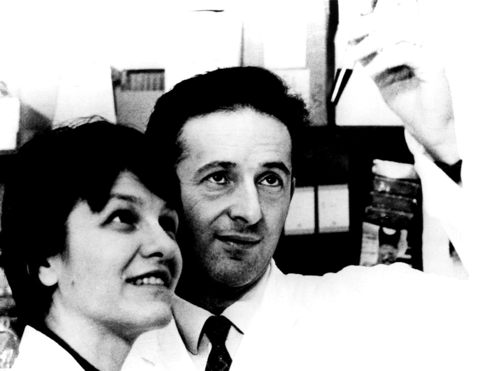 Nci-vol-8175-300 George Klein