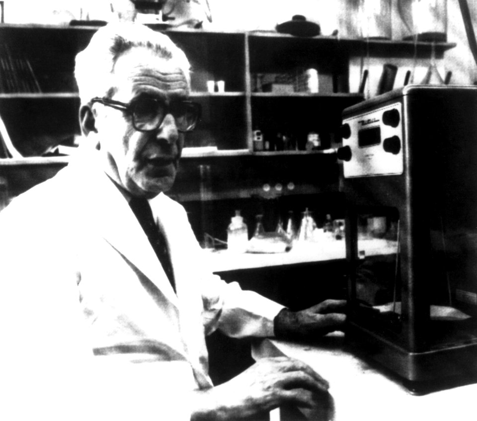 Nci-vol-8179-300 Isaac Berenblum