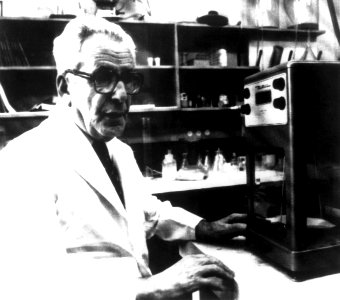 Nci-vol-8179-300 Isaac Berenblum
