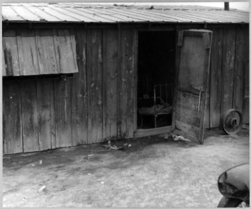 Near Buckeye, Maricopa County, Ariz. Single-room apartment in the ... grower's camp. This room is oc . . . - NARA - 522244 photo