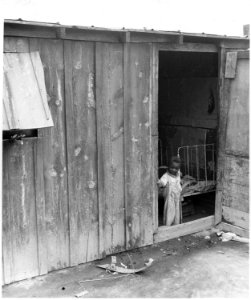 Near Buckeye, Maricopa County, Arizona. Child of (African-American) cotton pickers in grower's camp. - NARA - 522675 photo