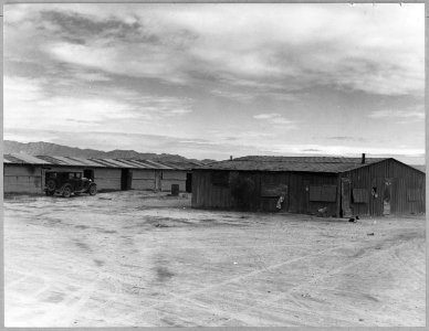 Near Buckeye, Maricopa County, Arizona. Cotton pickers' barracks. Double row of 20 single-room apart . . . - NARA - 522245
