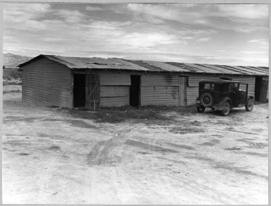 Near Buckeye, Maricopa County, Arizona. Cotton pickers' barracks. Double row of 20 single-room apart . . . - NARA - 522246 photo