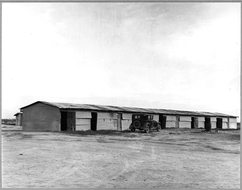 Near Buckeye, Maricopa County, Arizona. Cotton pickers' barracks. Double row of 20 single-room apart . . . - NARA - 522248