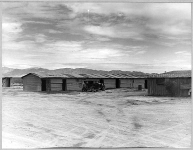 Near Buckeye, Maricopa County, Arizona. Cotton pickers' barracks. Double row of 20 single-room apart . . . - NARA - 522247 photo