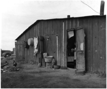 Near Buckeye, Maricopa County, Arizona. Mexican quarters in grower's camp for migratory cotton picke . . . - NARA - 522542 photo