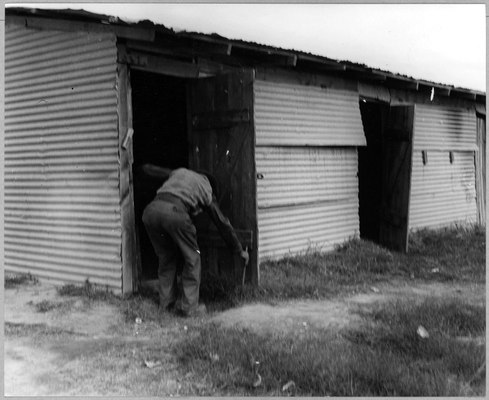 Near Buckeye, Maricopa County, Arizona. Migratory cotton pickers in grower's camp. - NARA - 522242