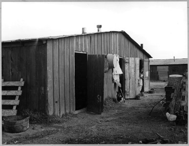 Near Buckeye, Maricopa County, Arizona. Migratory cotton pickers in grower's camp. - NARA - 522243