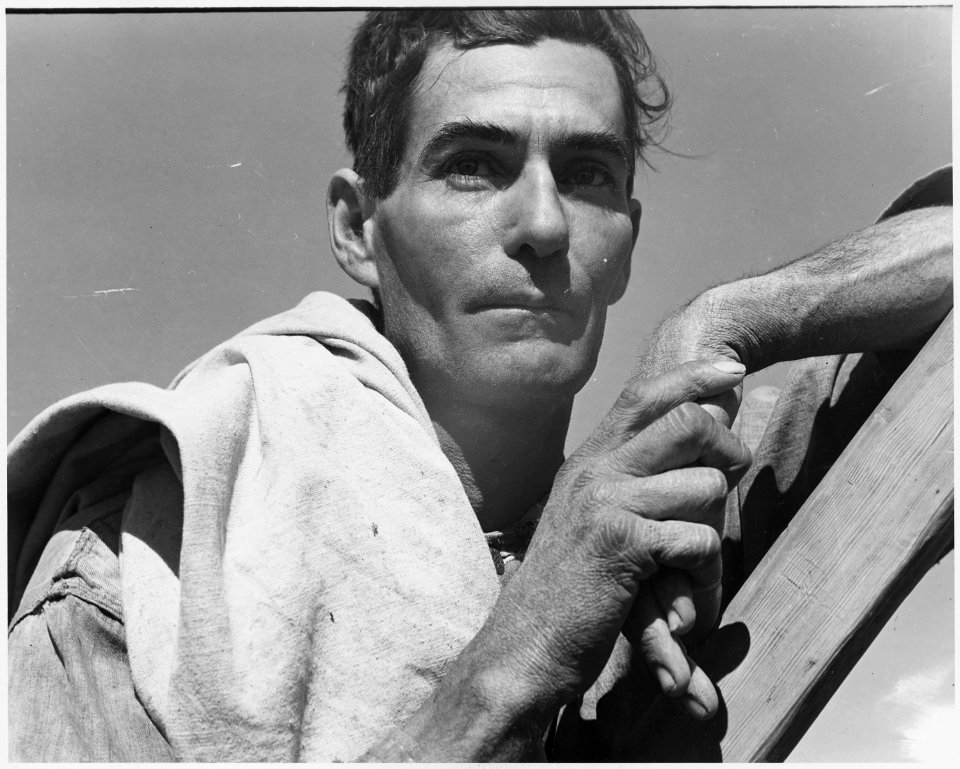 Near Coolidge, Arizona. Migratory cotton picker with his cotton sack slung over his shoulder rests a . . . - NARA - 522040