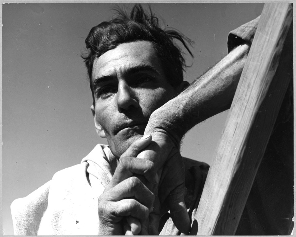 Near Coolidge, Arizona. Migratory cotton picker with his cotton sack slung over his shoulder rests a . . . - NARA - 522041