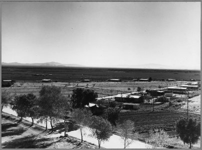 Near Coolidge, Arizona. View of Casa Grande cooperative farm in third year of operation. See testimo . . . - NARA - 522213