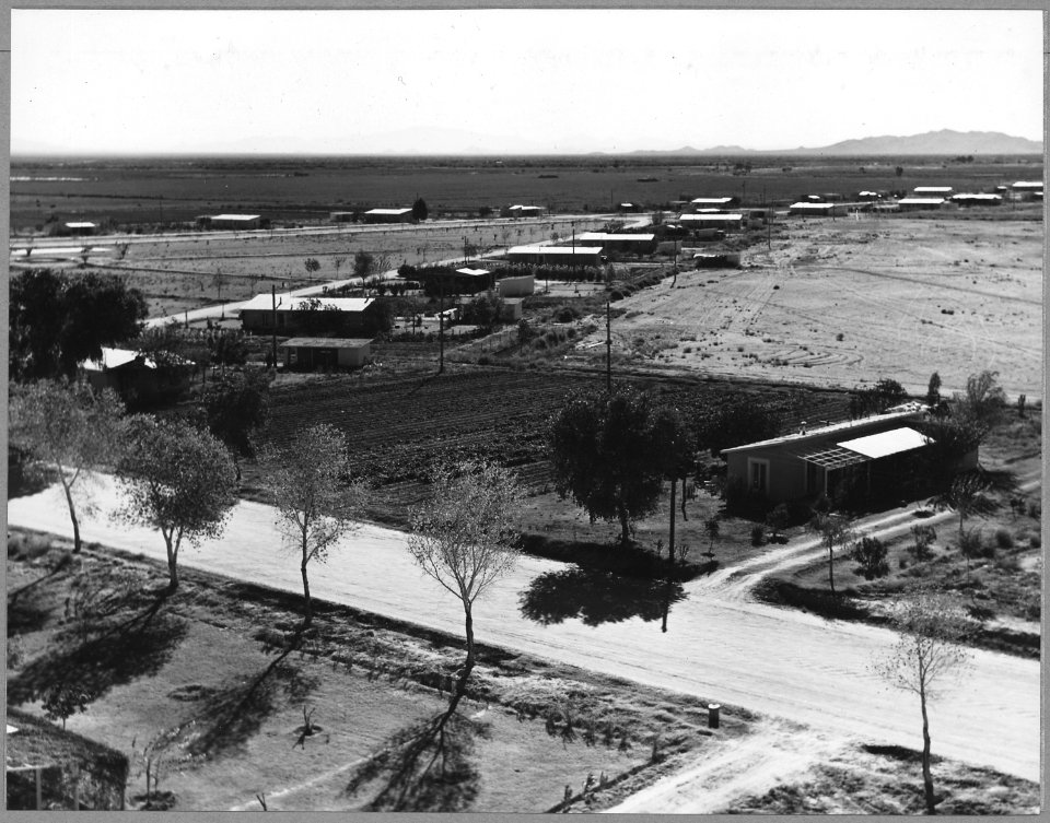 Near Coolidge, Arizona. View of Casa Grande cooperative farm in third year of operation. See testimo . . . - NARA - 522212